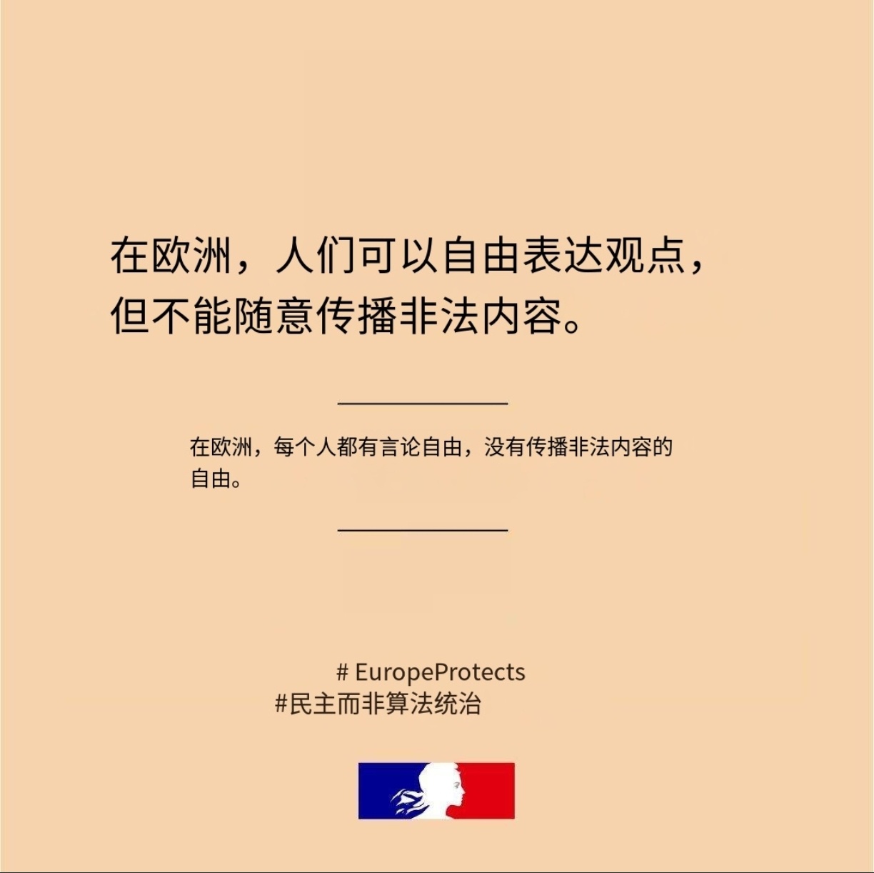 美国嘲讽欧盟言论自由法国常驻联合国代表团：在欧洲，人们可以自由表达观点，但不能随