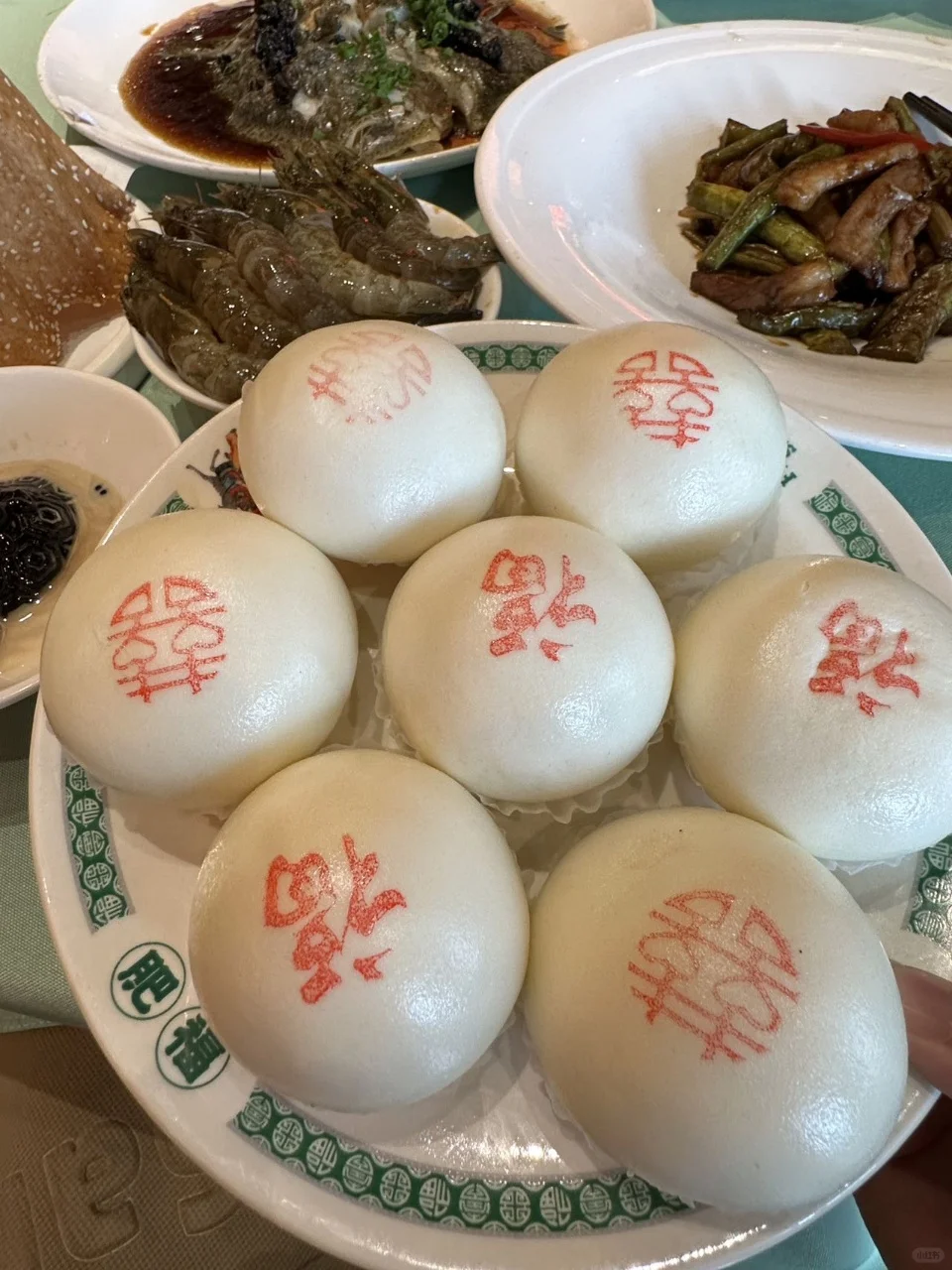 快来肥福吃duangduang的小乌龟