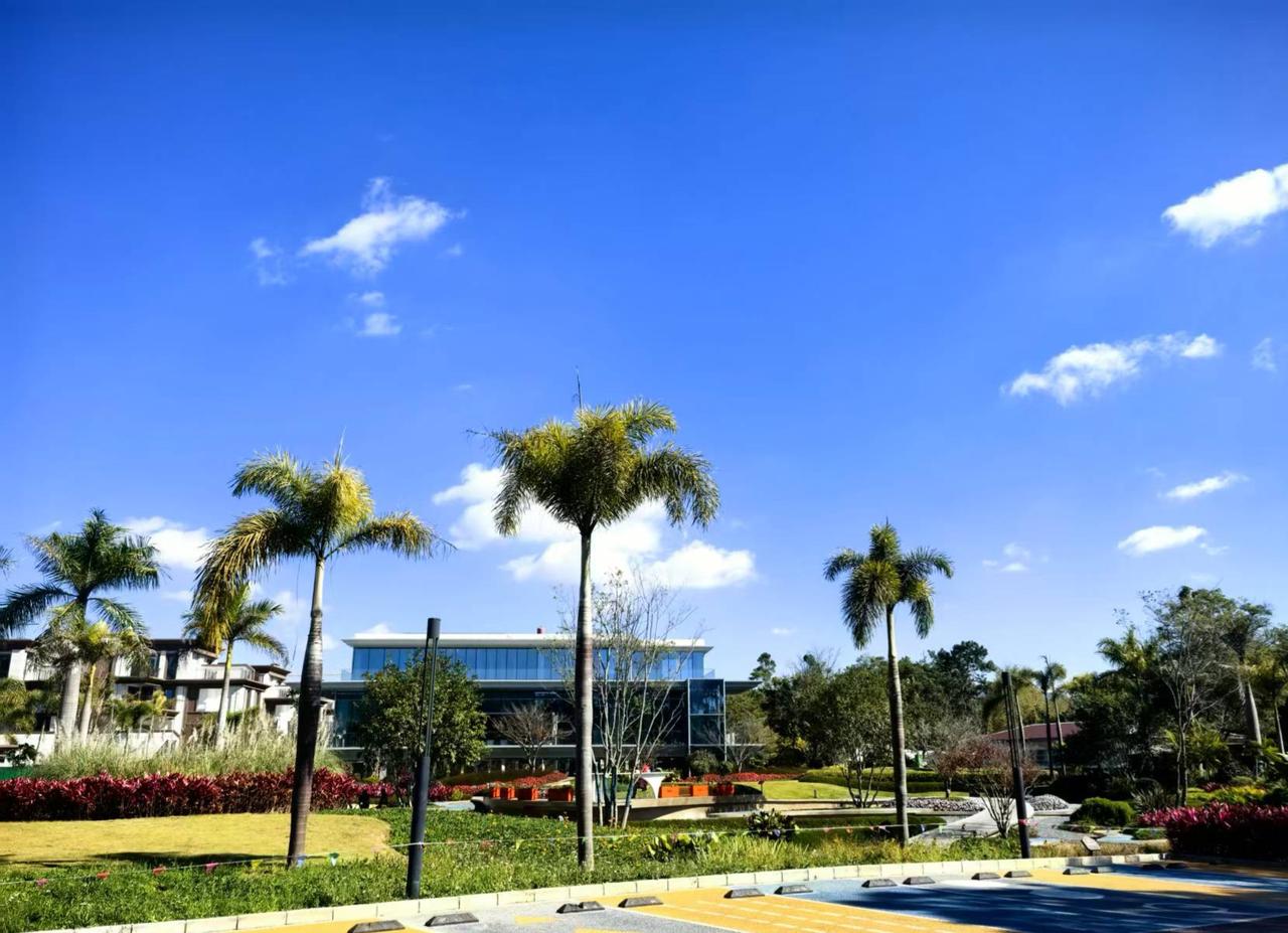 2025-12-27 普洱咖啡园印象