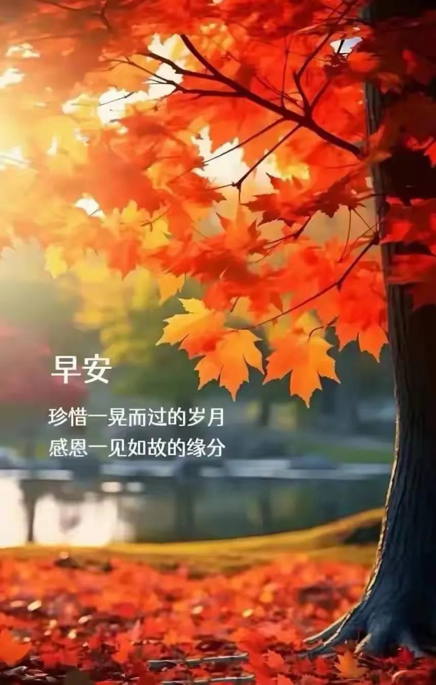 生活，本是一本厚实的书。。。
你不读，也得读。。。
为什么呢？。。。
因为生计，