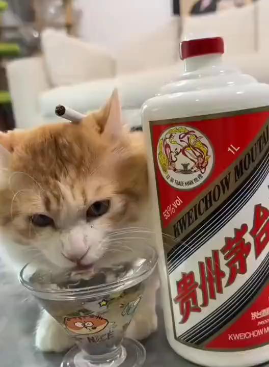 这波操作都看傻了。