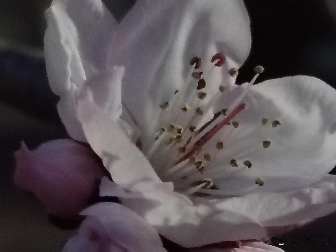 新生
 
风拂去旧痕
光落在眉间
一程山水温柔
一次遇见
便重启了人间