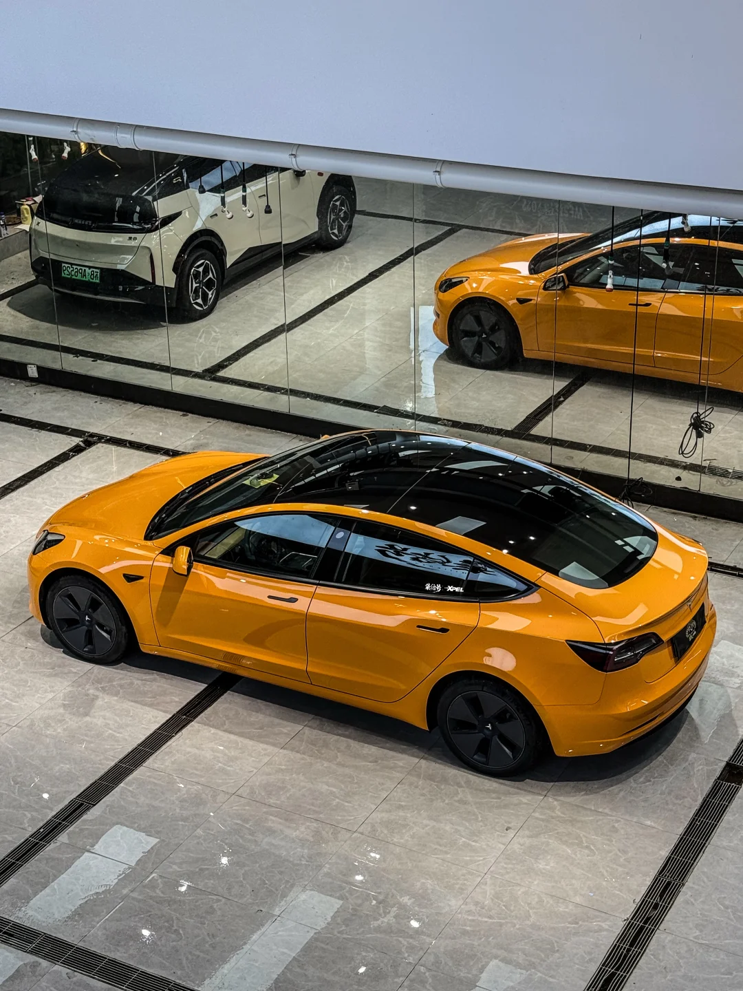 “特斯拉到底多硬核？”群压艳芳的毛豆