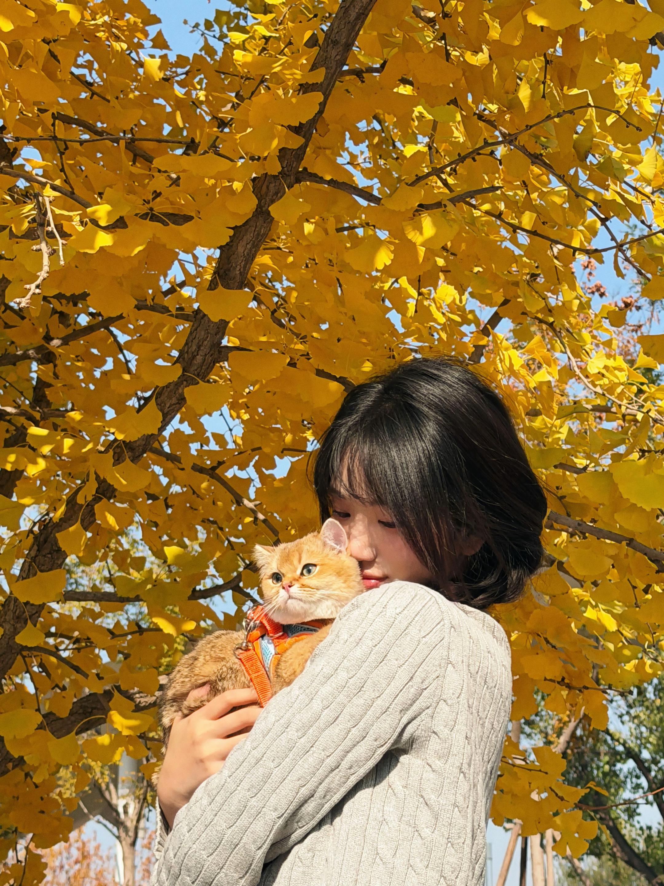 金灿灿的秋天🍂