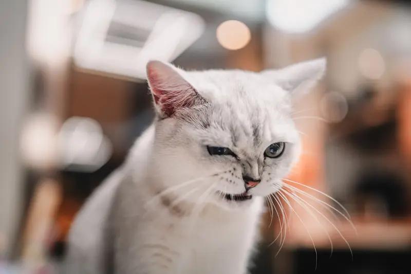 经常生气真的会生病！从中医角度讲，生气会导致肝气郁结。我身边就有个例子，我朋友脾