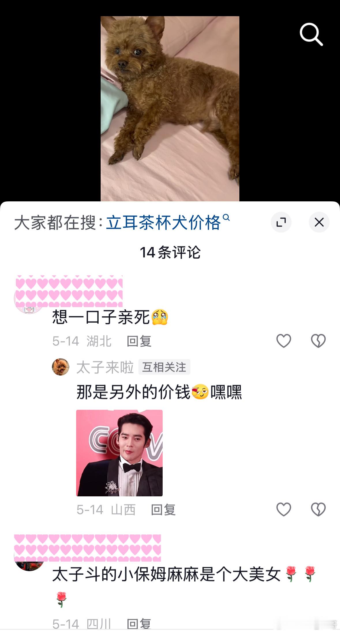 职场和做自媒体的底层逻辑是相通的。比如我经常遇到很友善的读者和观众，他们会很友好
