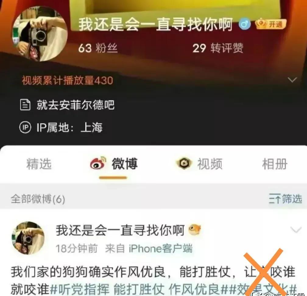 挺乌的都是【舔美仮华恨国党】这就是有一个典型[灵光一闪]