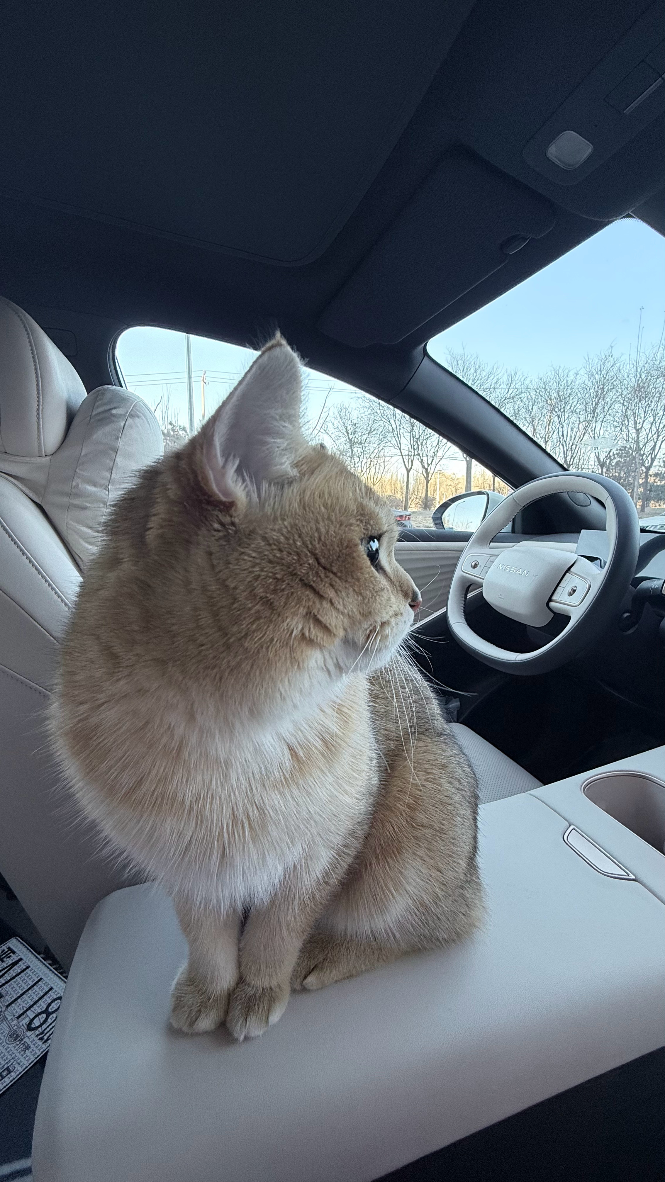 不吉岛咪的站姿很曼妙 