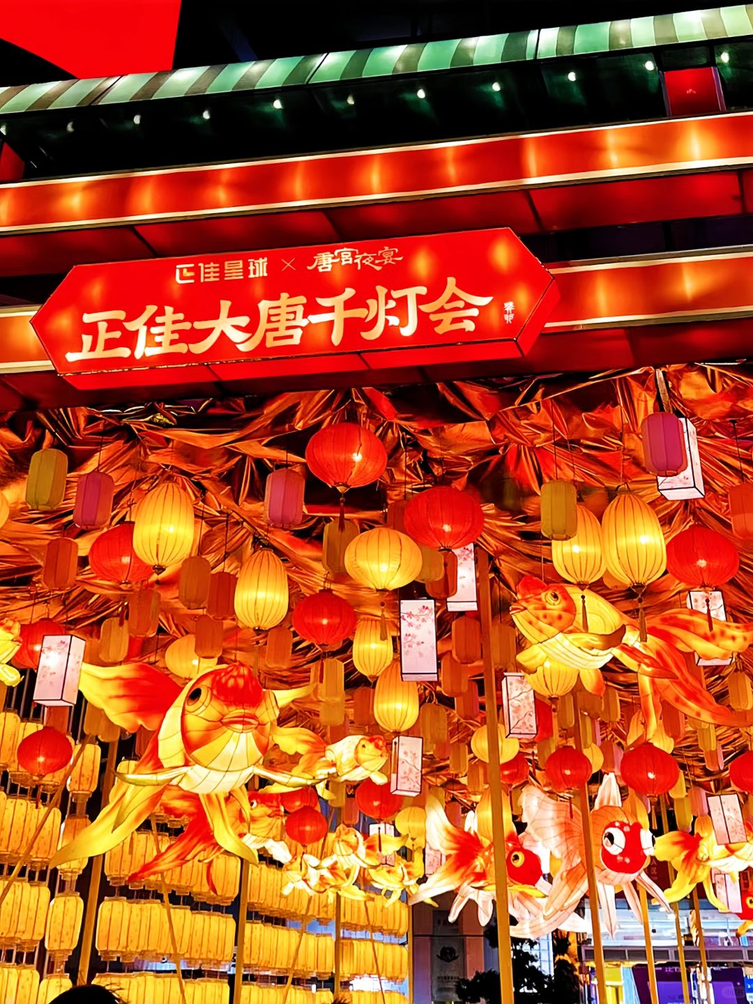 2024广州春节🔟大好去处！赏花灯逛花市！