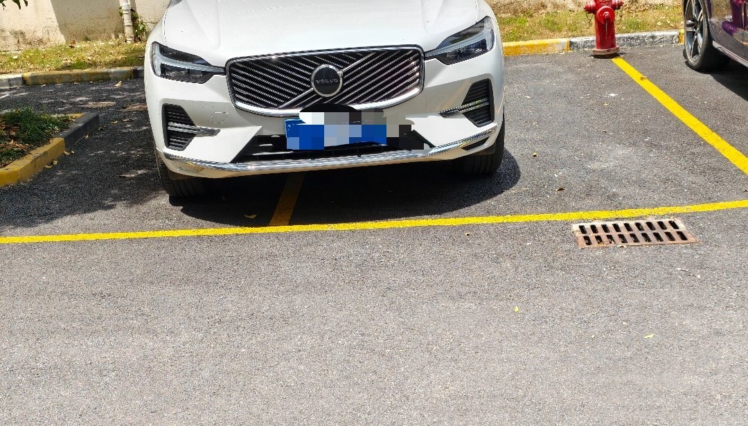 ？“vo”想怎么停就怎么停？沃尔沃