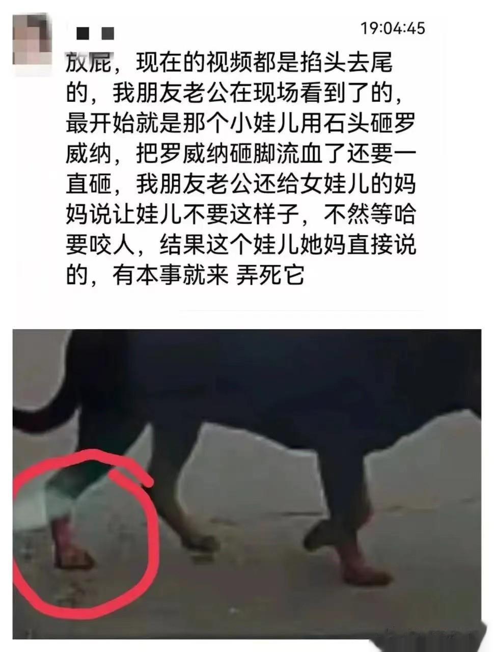四川崇州罗威纳犬咬小女孩事件：真相与谣言的较量！

近期，四川崇州发生了一起罗威