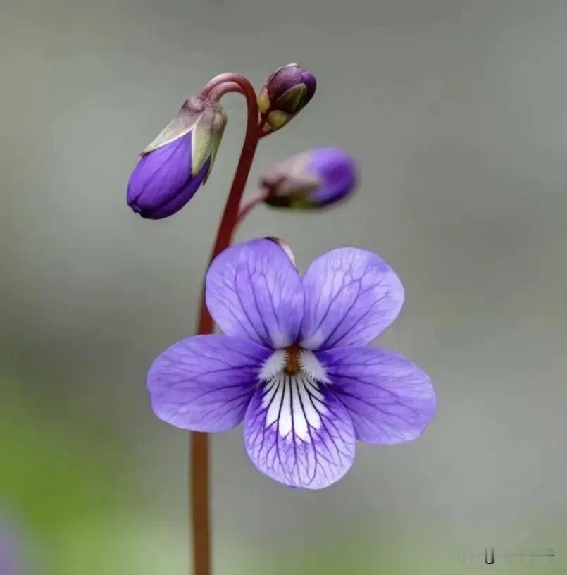 一位律师说：
只要你被派出所叫去接受调查，就千万别高估自己的应变能力。
不管你多