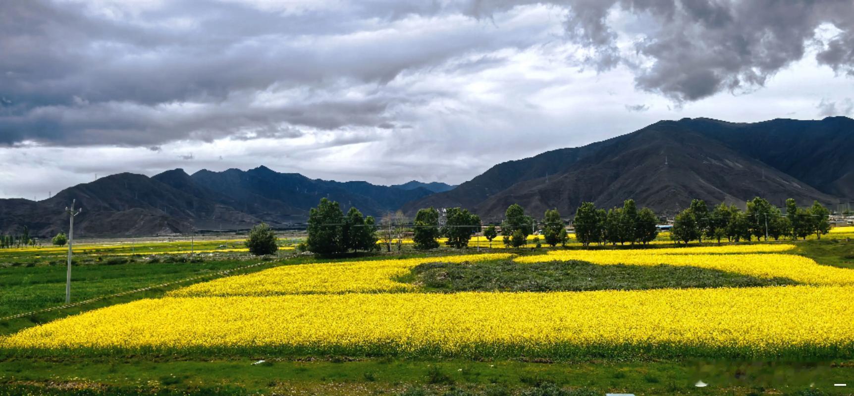 消息一览：1. 摩尔线程收涨28.04% 股价突破900元关口 总市值4423亿