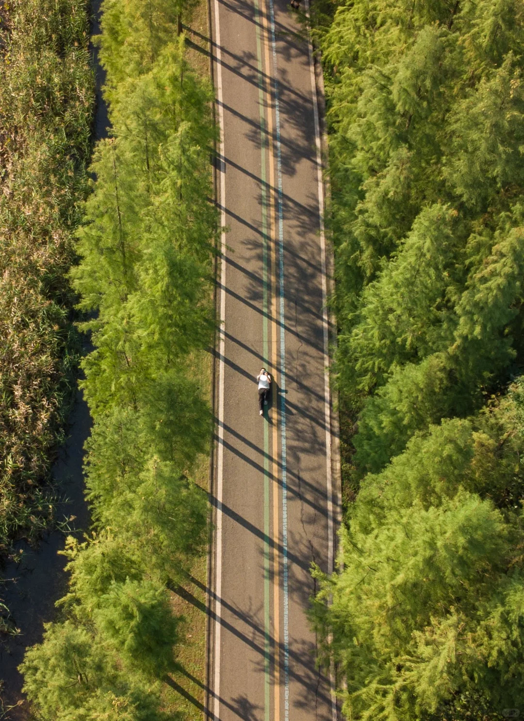 在成都！每年秋天必去赏秋的宝藏公园