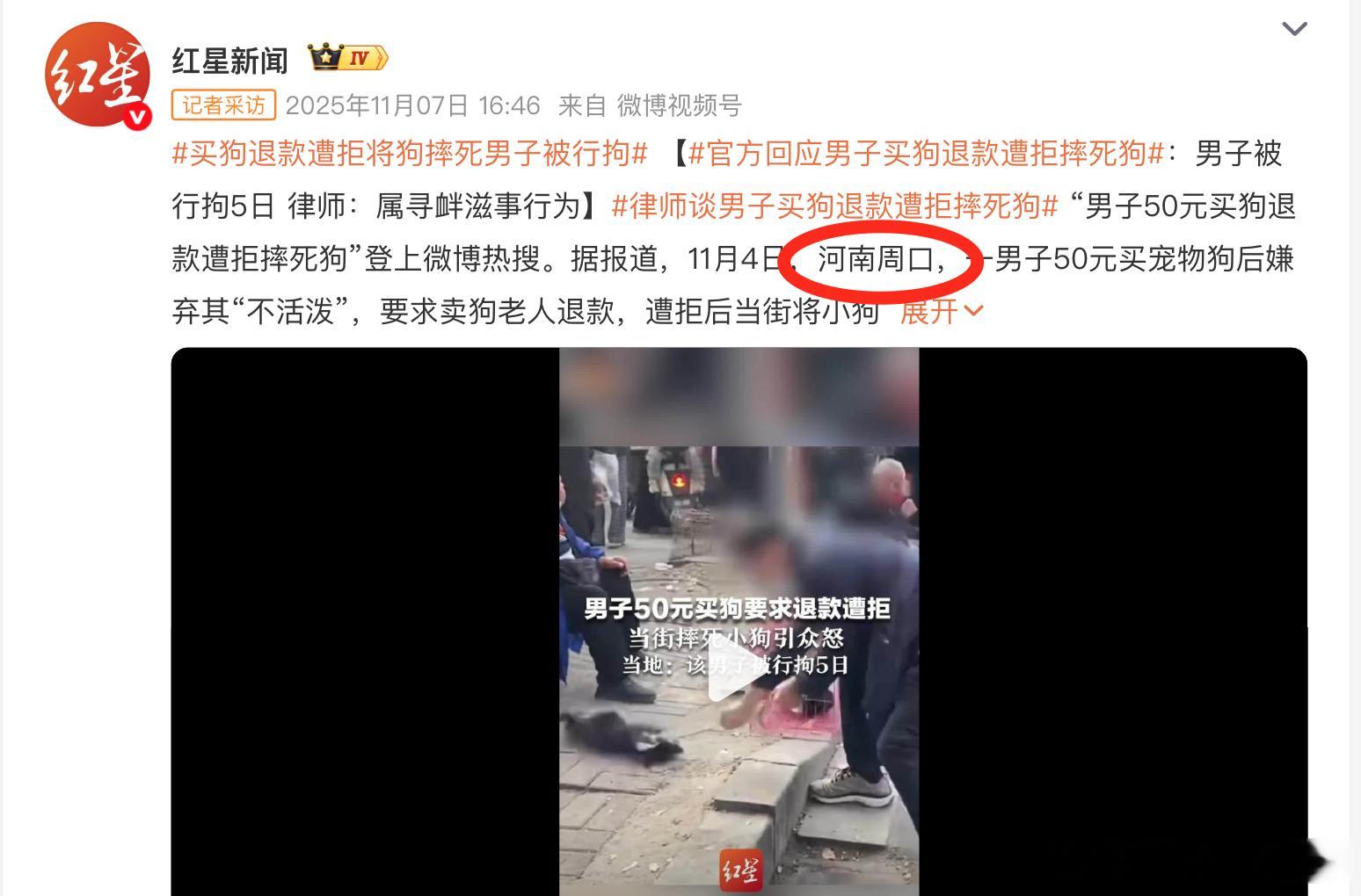 3条未拴绳德牧四处咬狗致1死1伤 同一个城市，摔狗拘留，三条大德牧危害公共安全竟