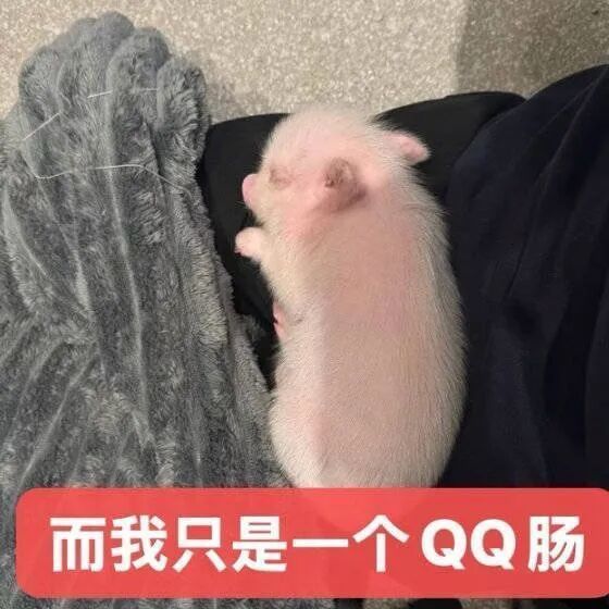 每个月两颗布洛芬给我吃免疫了