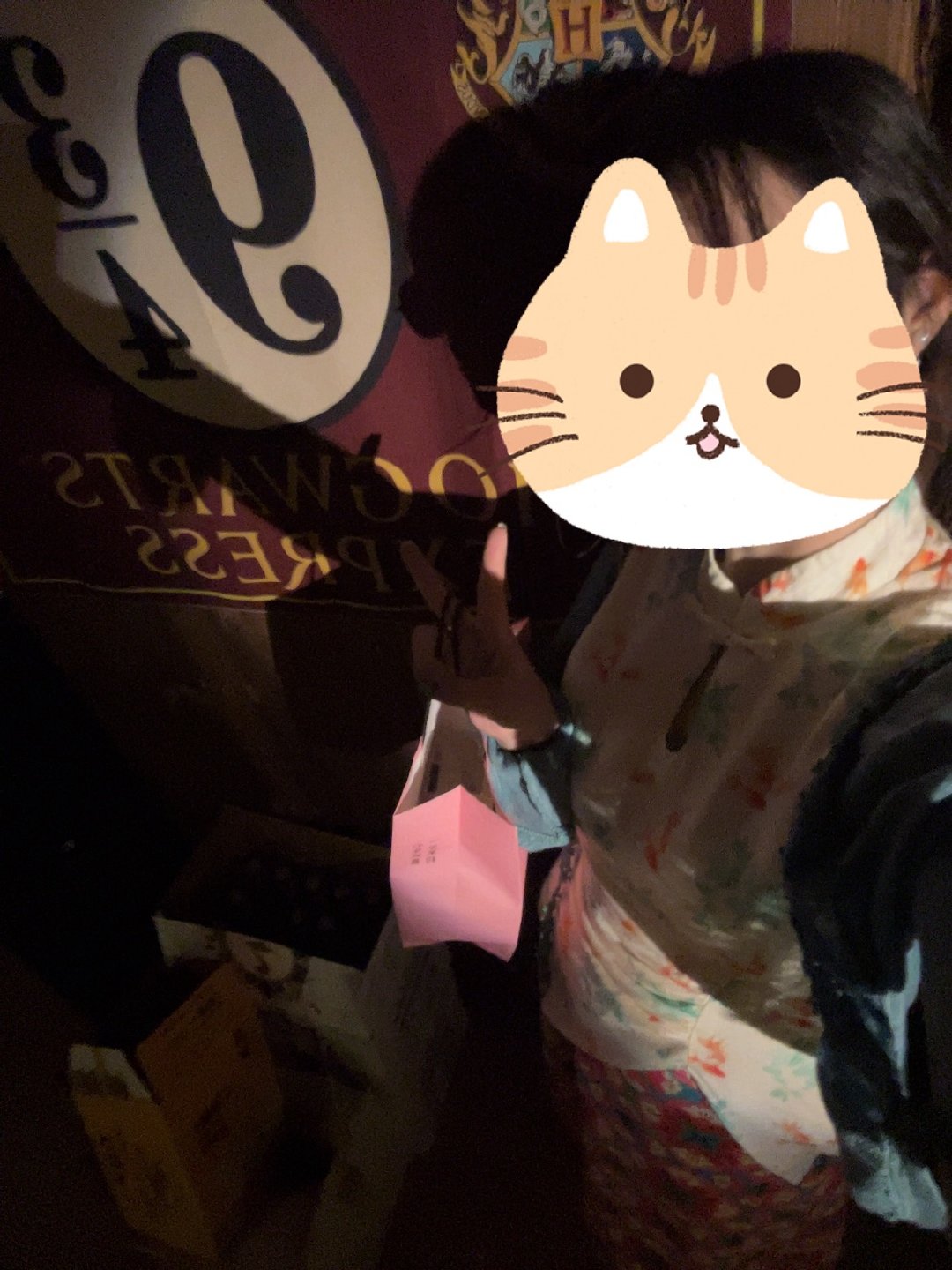 下一站霍格沃滋 