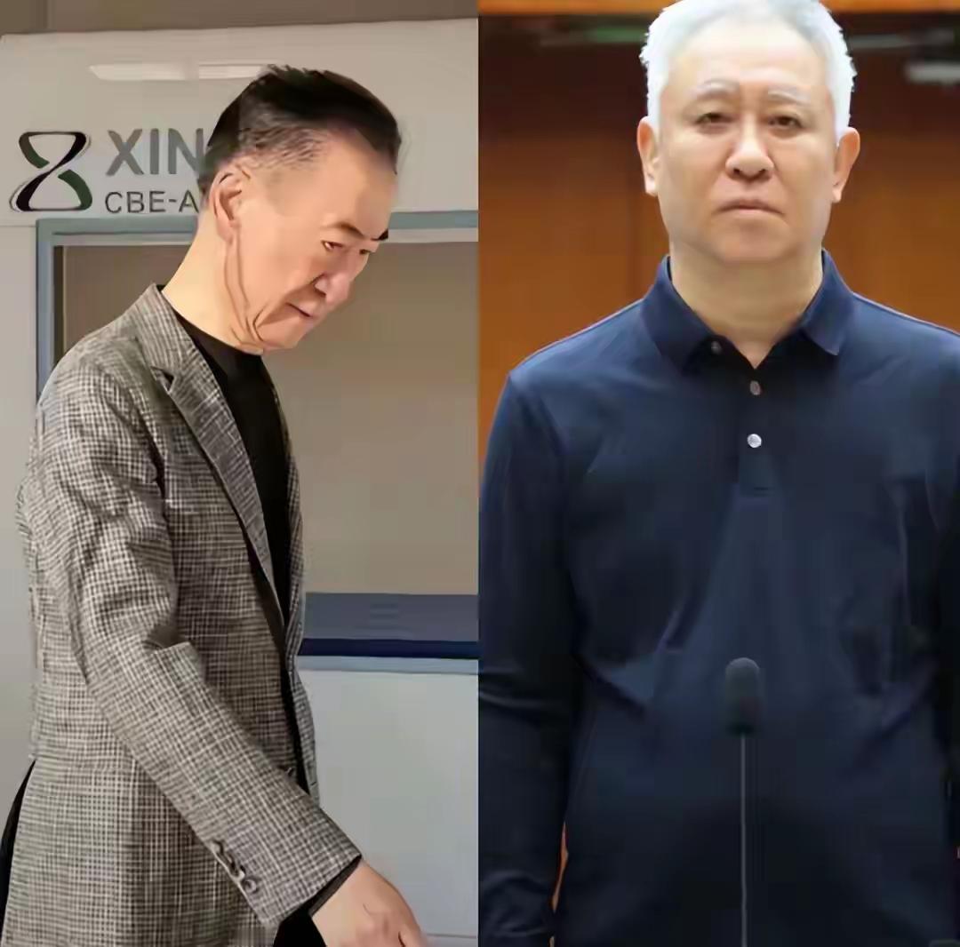 这两人的背后，是万亿帝国的起落，更是数万家庭被改写的人生——何尝不是一面照见时代
