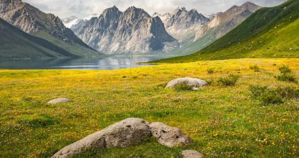 青海|青海十大赏花胜地 青海赏花的地方有哪些