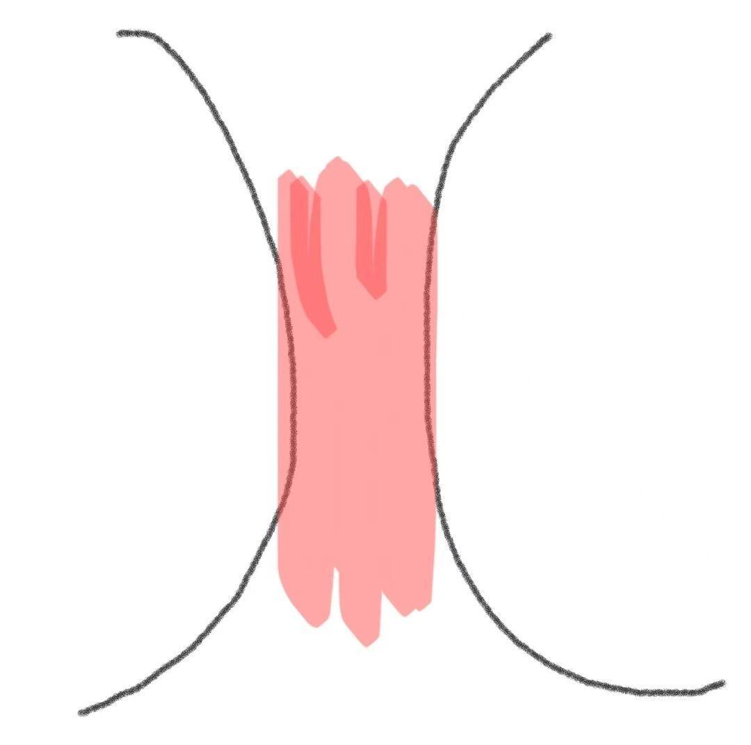 真的麻了，这些常识所有女生都应该知道。。。1、婚检艾滋病结果不会通知配偶2、乳晕