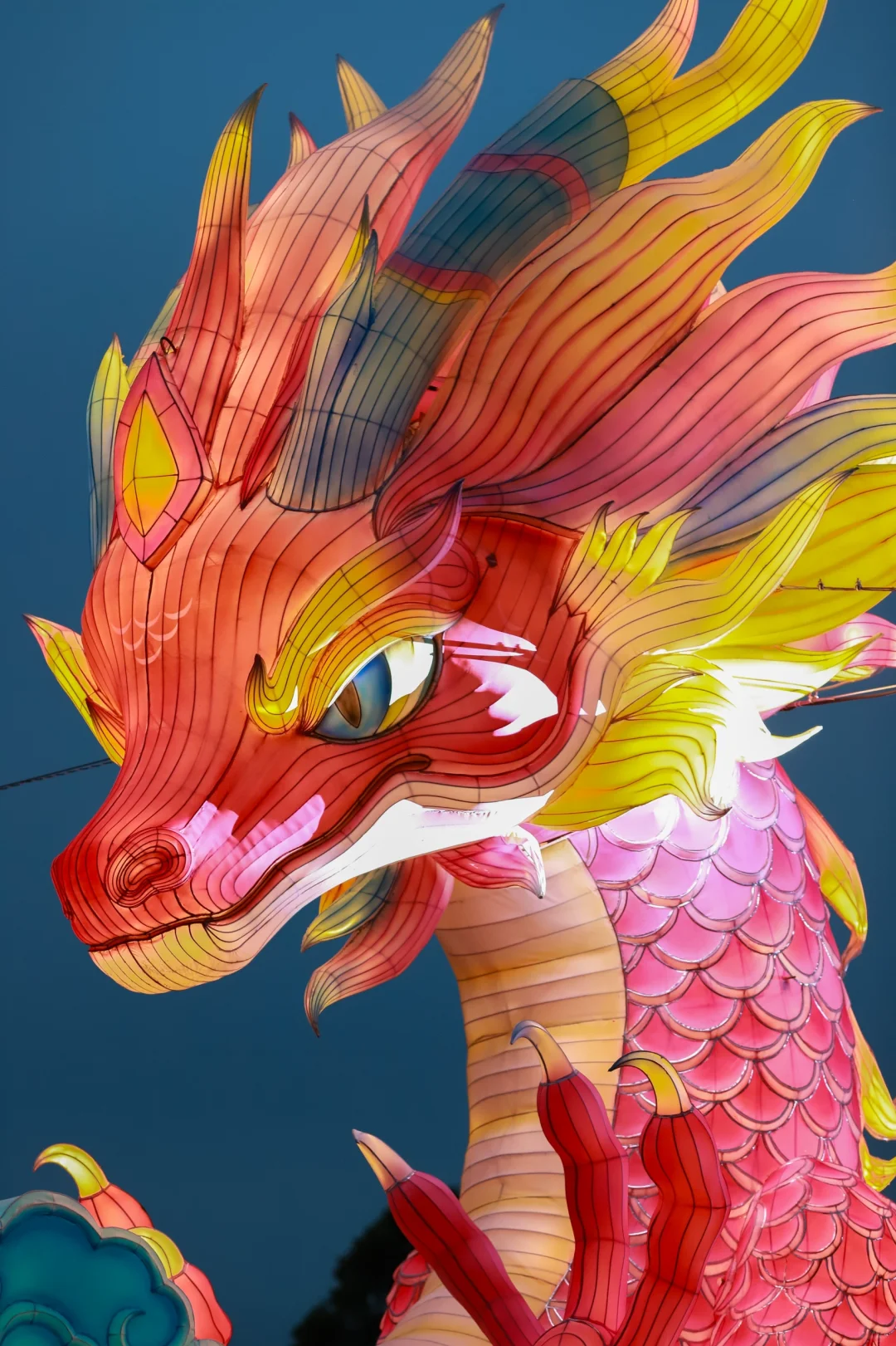 看龙灯🐲