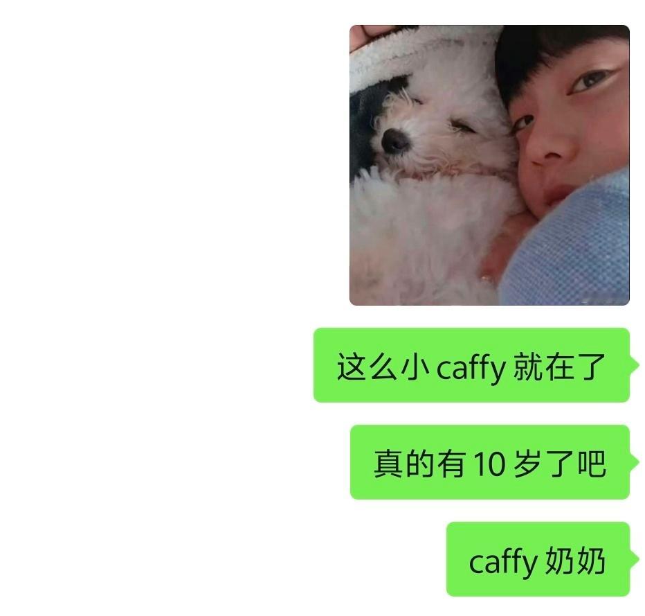 我们caffy陪着小哼哼长大 ​​​