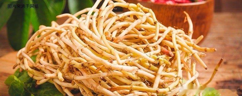 肺病圣药鱼腥草之鱼腥草应用1. 名方鱼腥草饮(《本草经疏》药学著作。又名《神农本
