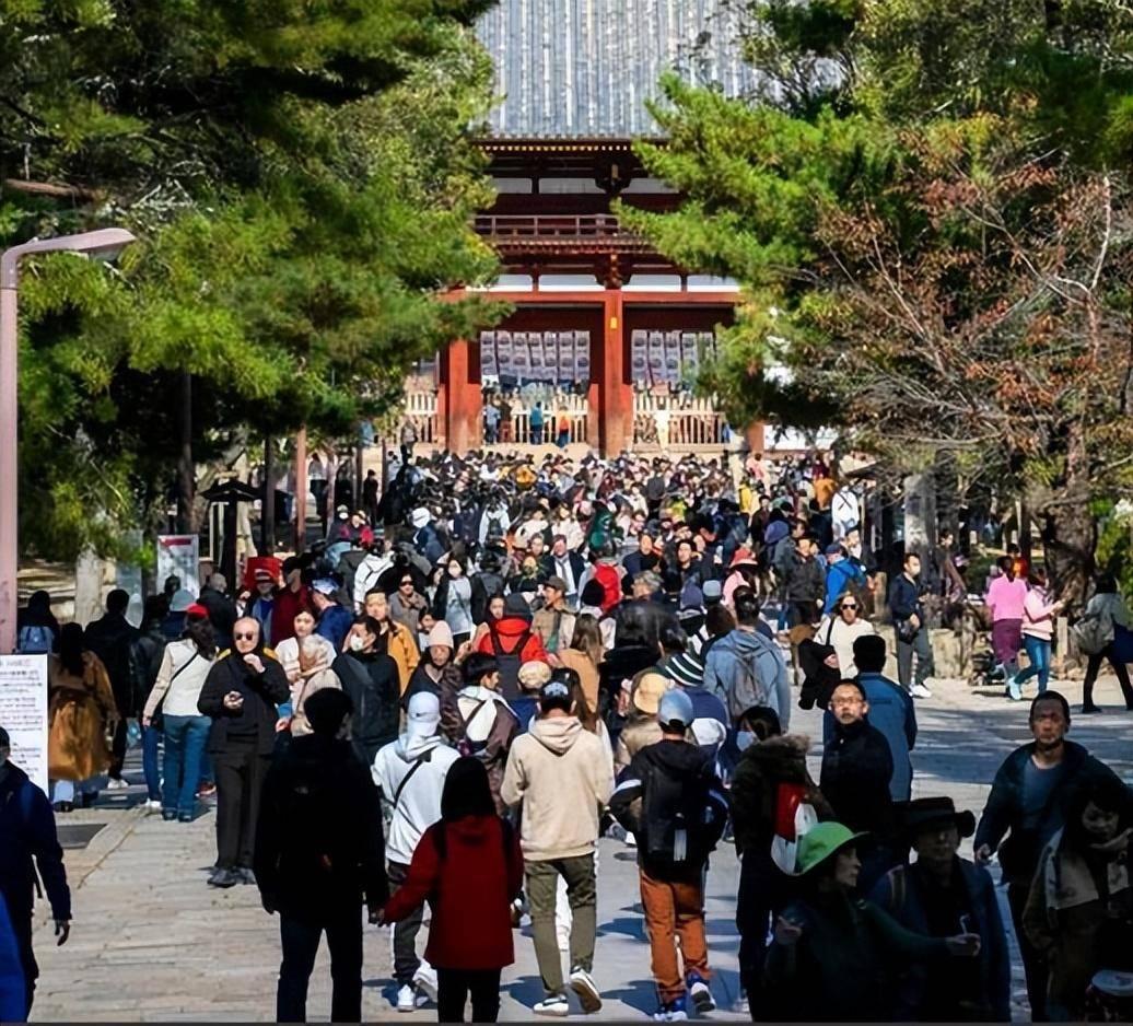 中国由于去日本航班取消，在日本旅游的人回不来。这个一点都不用可怜他们，上海不是有