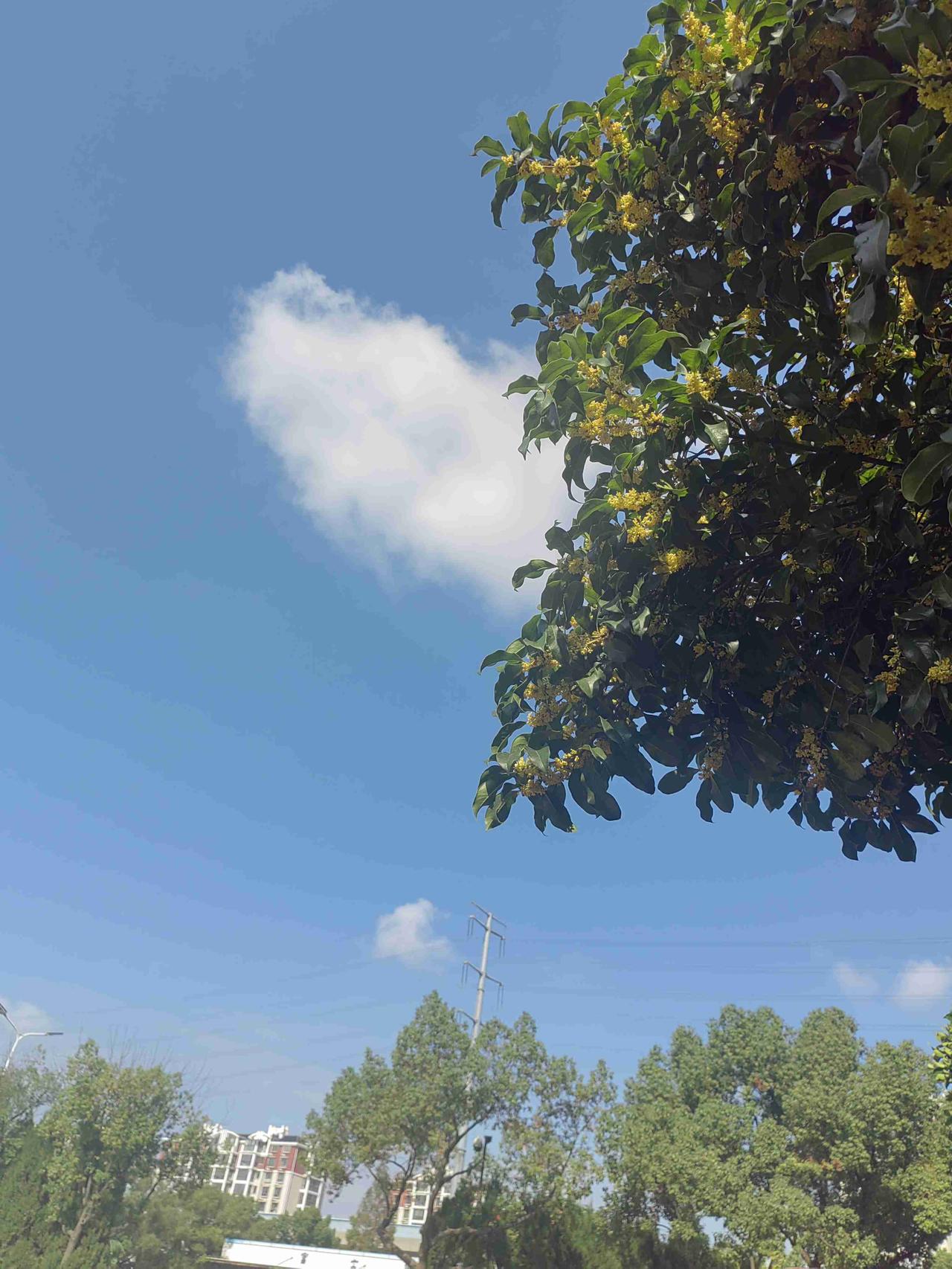 我的今日状态：😁轻松愉快
我这里的天气：☀️晴天