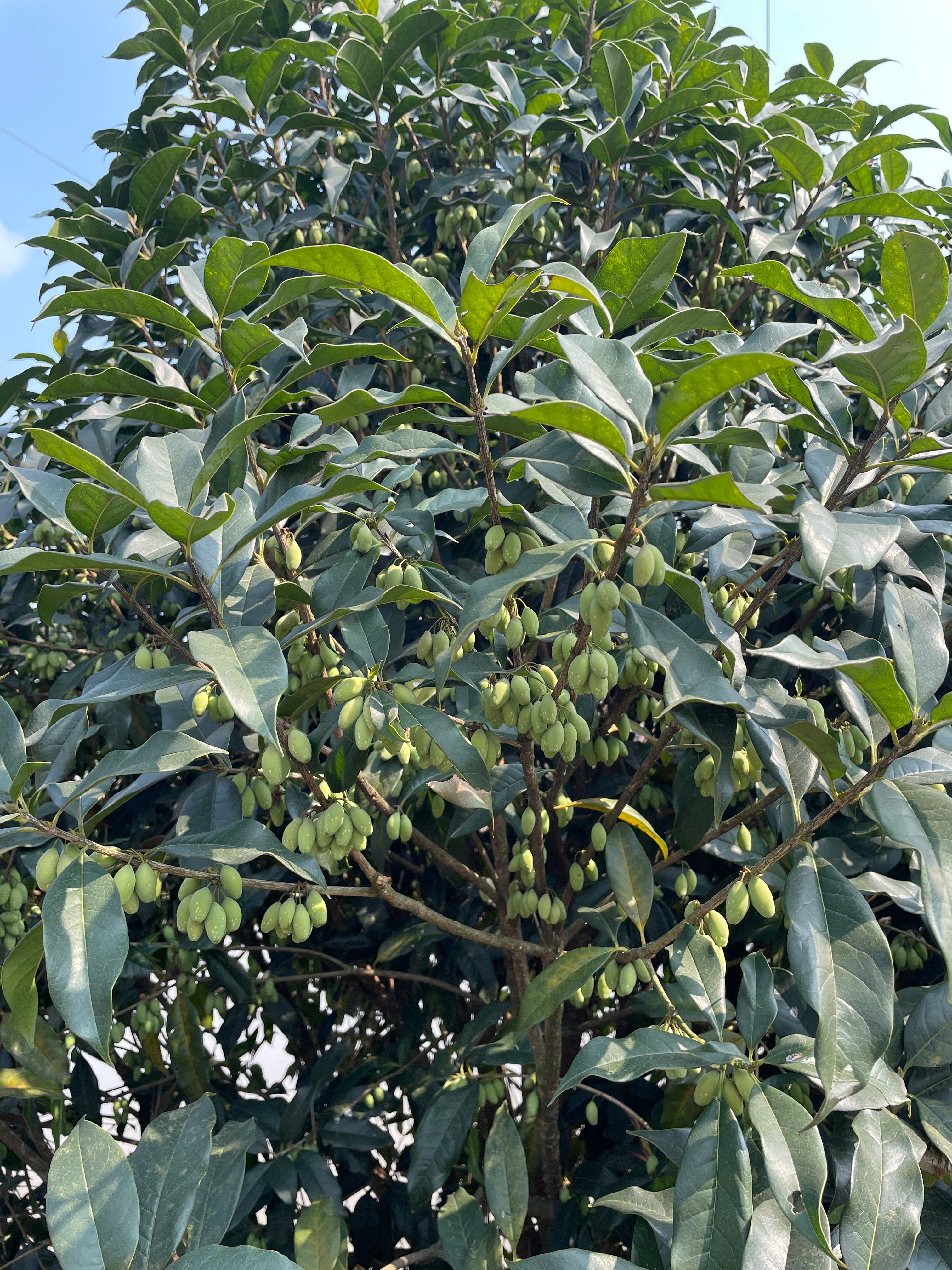 生活手记假期落幕，新征途开启。每一次的告别都是为了更好的重逢，与这片土地说再见，