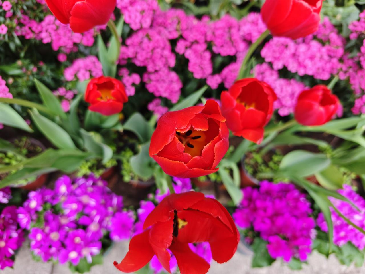 老美倒底是想彻底摧毁伊朗军事基地还是觊觎中东的石油呢？或者两个目的都想达到？为什