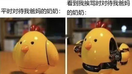 我眼中的奶奶 
