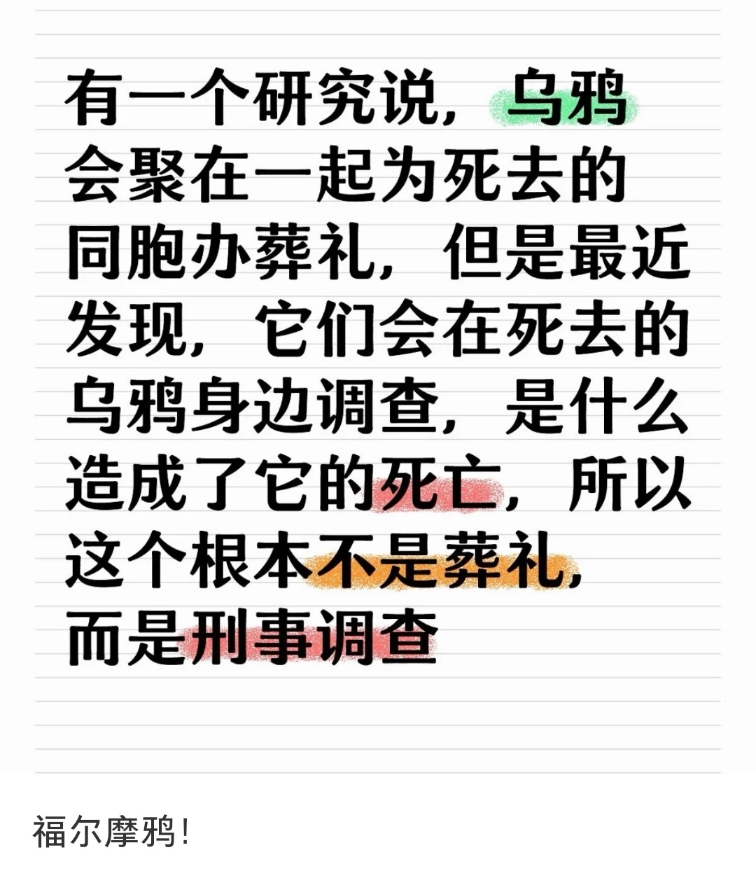 乌鸦会查案，但是容易造成冤案[笑cry] ​​​