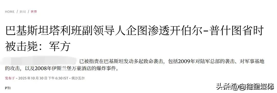 标题：巴铁翼龙无人机立功！塔利班副司令被精准清除
巴基斯坦军方传来捷报！10月3