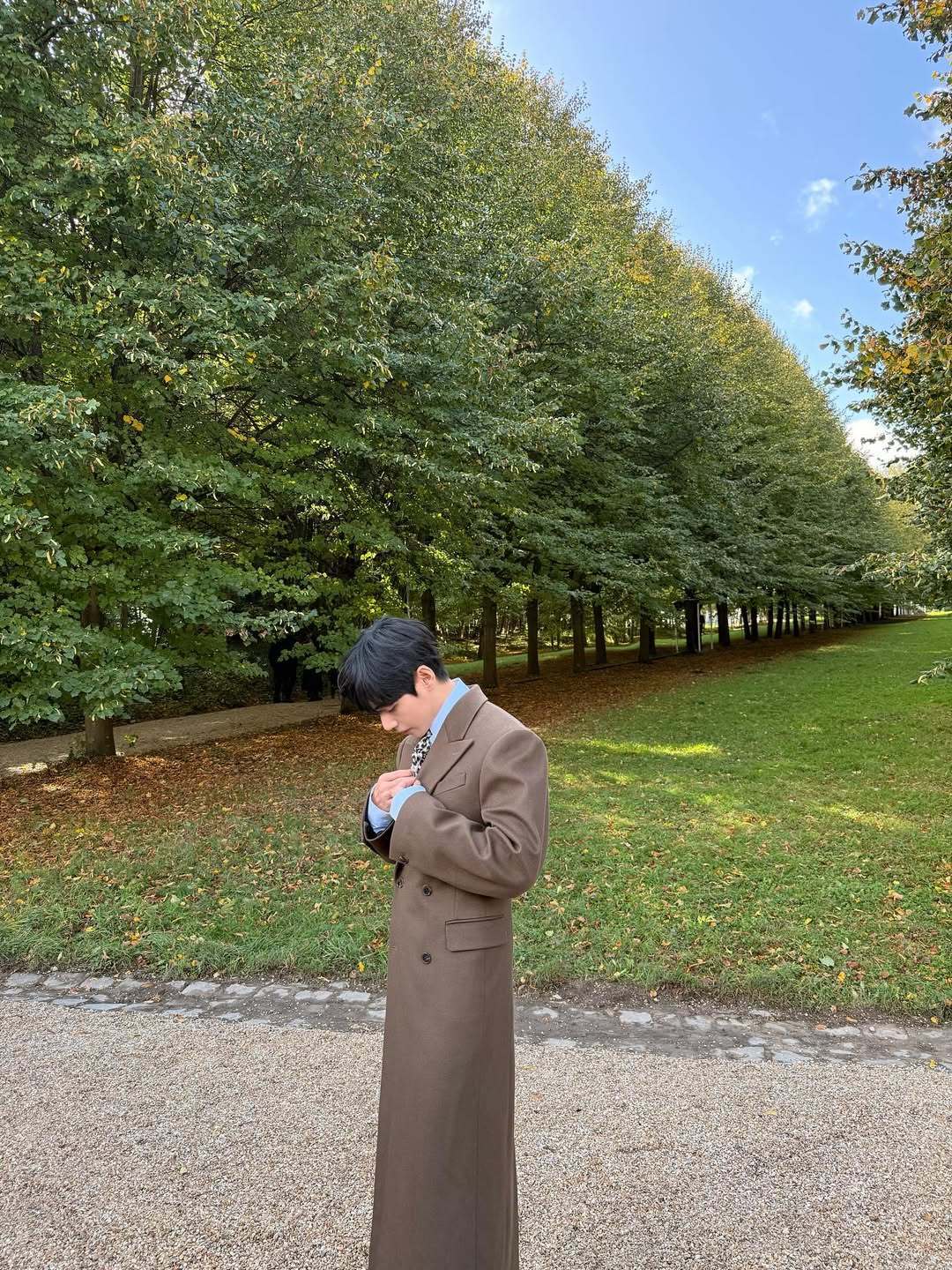 森林里来了位小熊绅士ʕ •̀֊•́ʔ©logo金泰亨 v金泰亨kpop永一