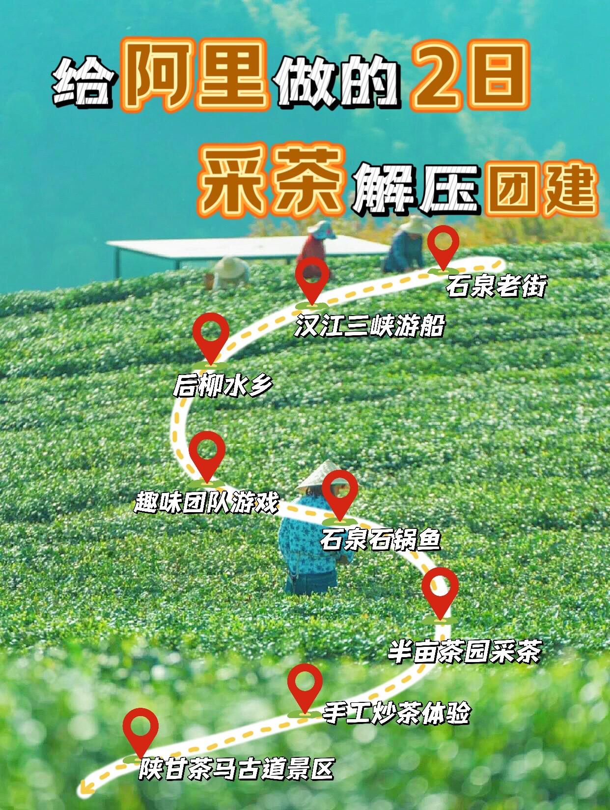 🌱西安团建 | 打工人采茶解压团建。既然要团建，怎么样才能让大家抛开...