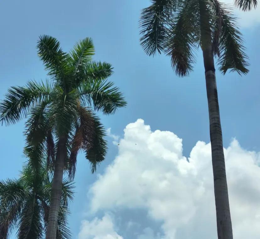 进厂还没开始干，就想跑路了
大老远从长沙跑来广东，家里使劲劝我在长沙工作，我也不