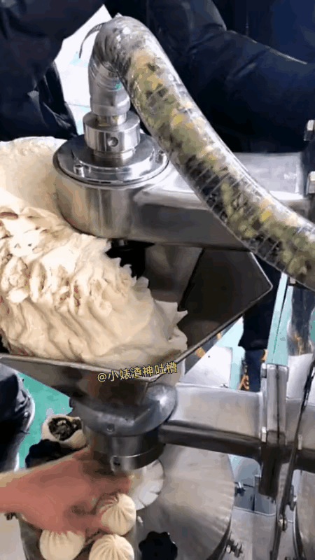 这个饺子很好吃，
但是不要看它的制造过程了，
我看了吃不下。