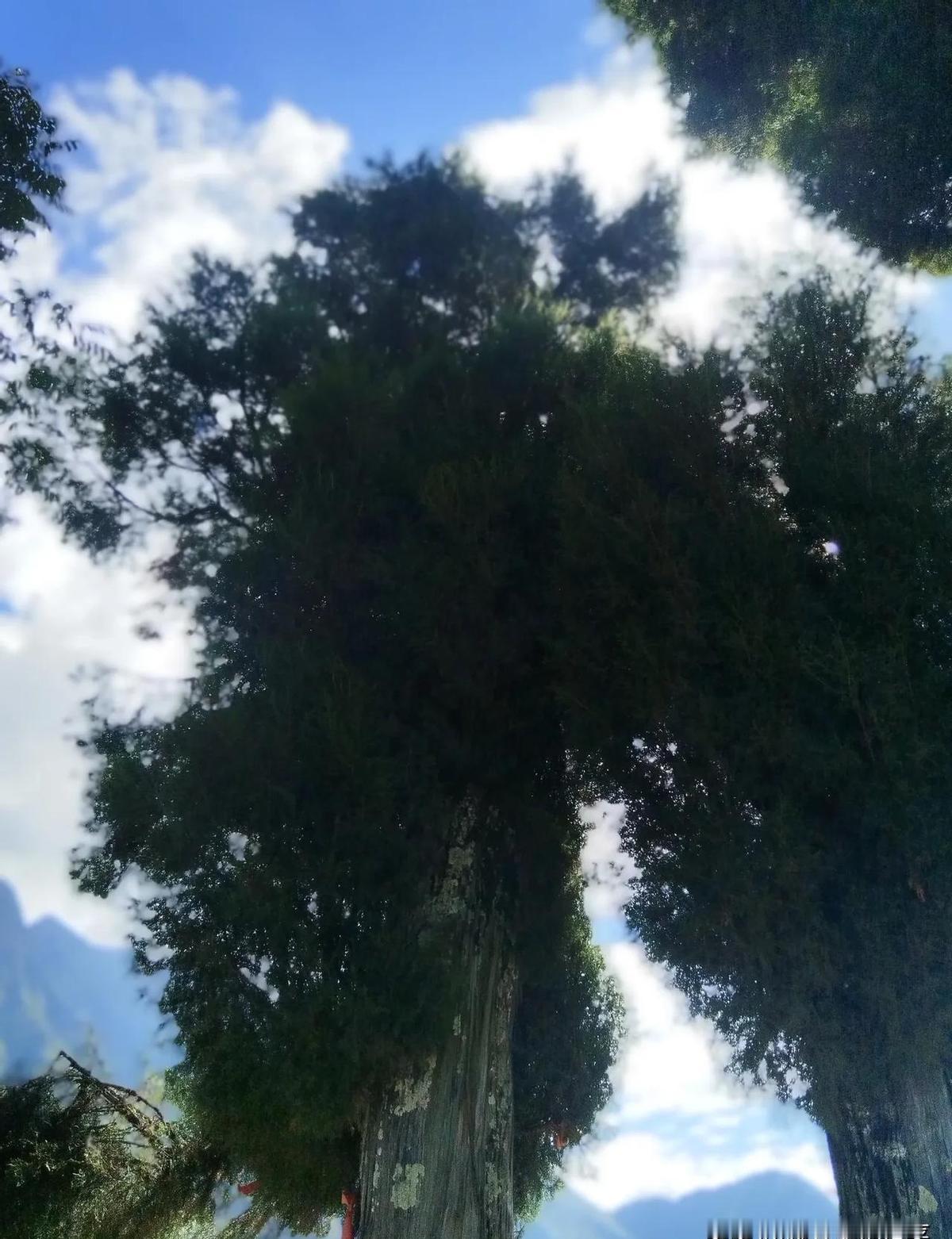 二十块一小时的钟点工，四个人抢一个岗。
不是人多，是没得选。
餐饮端盘子、超市理