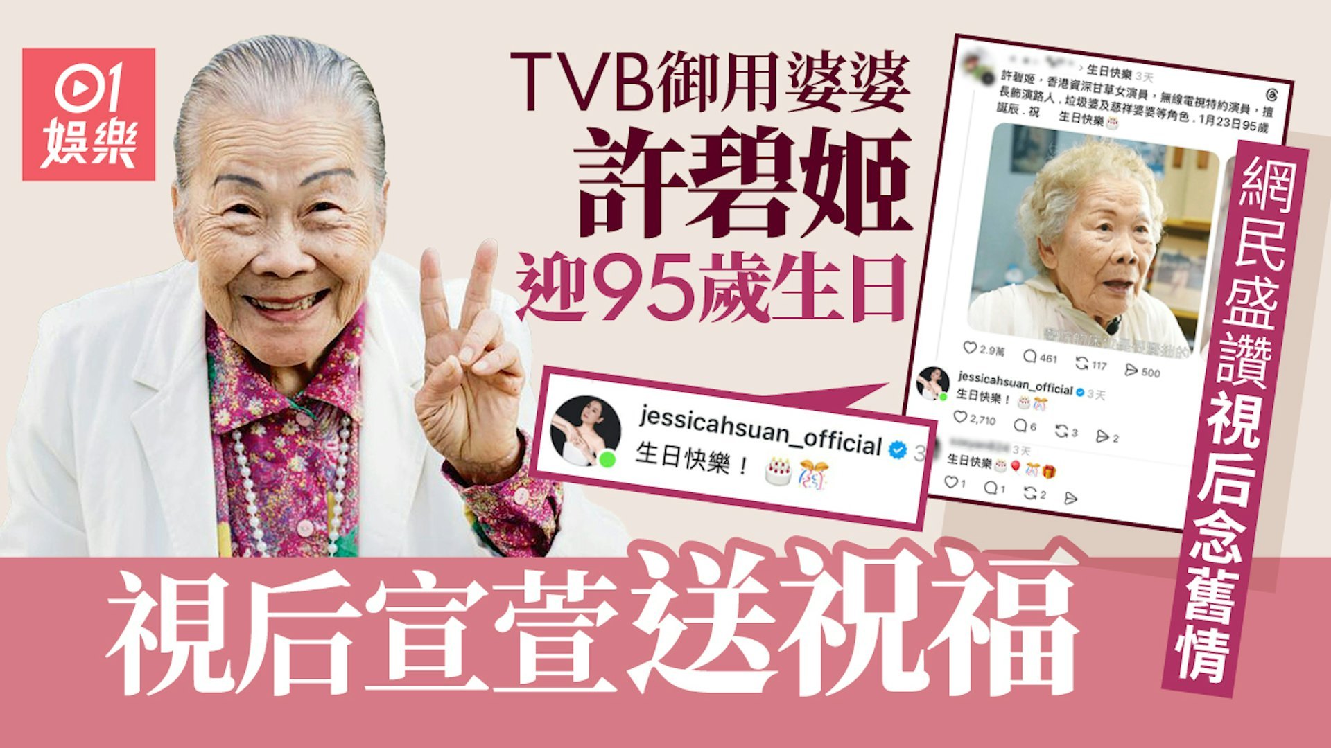 许碧姬在演艺圈工作数十年，以饰演「执纸皮婆婆」、「慈祥老人家」等绿叶角色深入民心