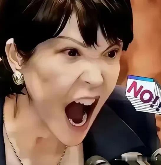 轮到日本跳脚抗议了
 
4月29日，日本产经新闻报道称，29日凌晨0点20分左右