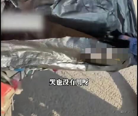 1月21日，辽宁一女子将从银行刚取回的12万现金，装在黑色塑料袋里，挂在电动车把