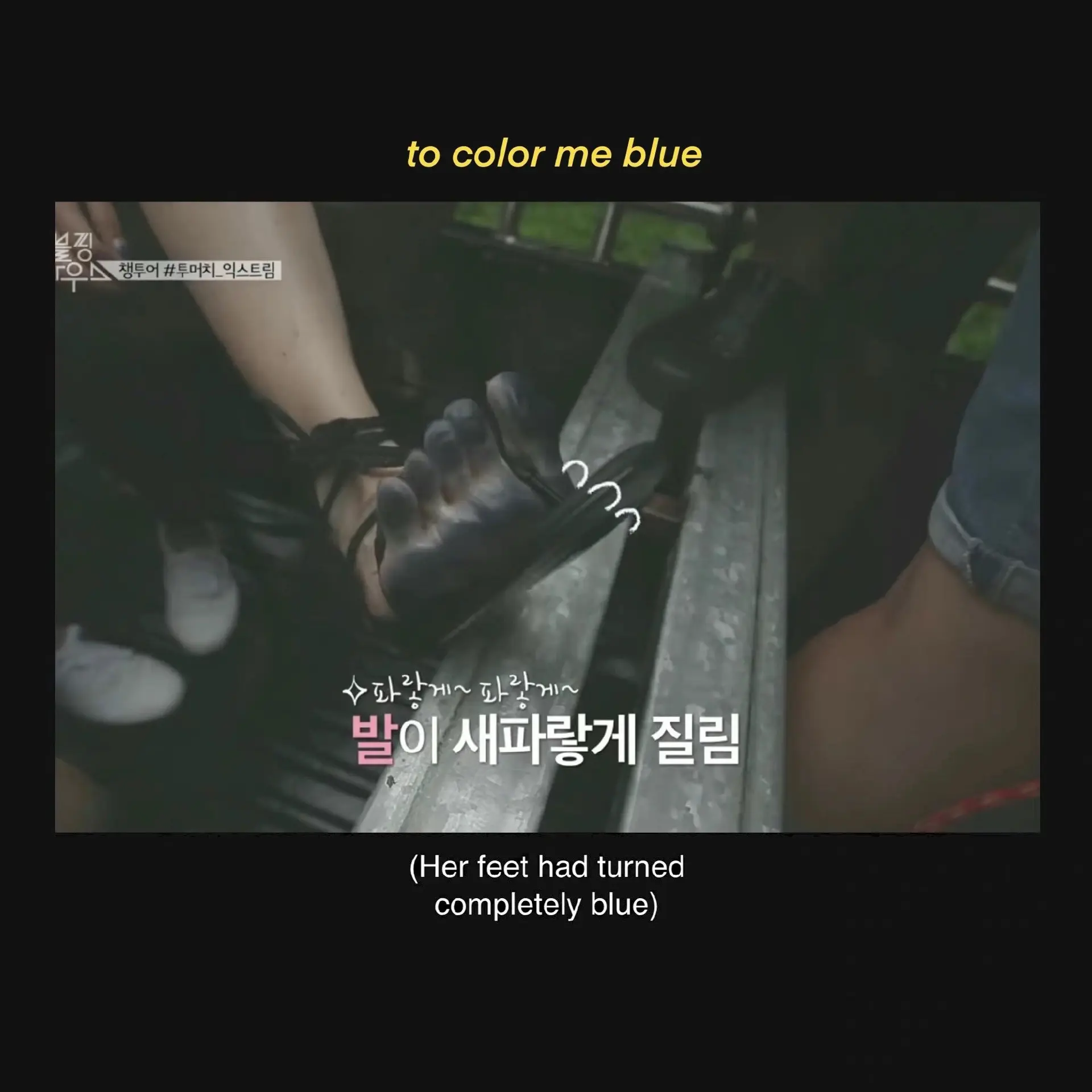 朴彩英的狂热男粉丝。