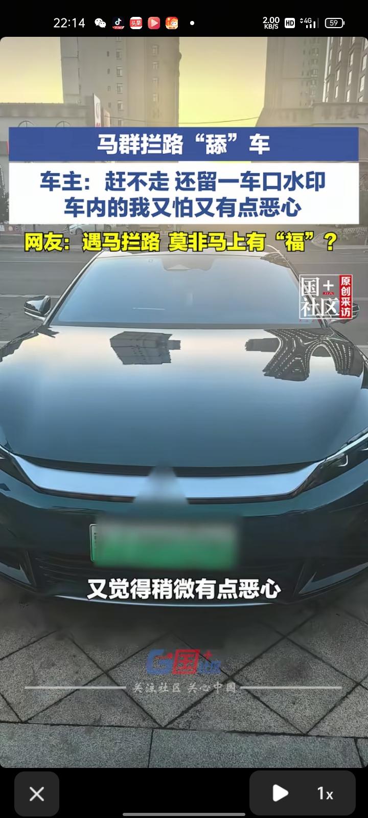 3月10日，内蒙古乌兰察布.网友发视频称，在路上遇到一群马拦路“舔”车，留下了很