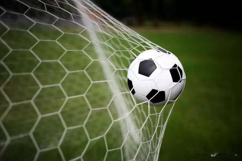 中超打到现在，上海今年注定将继续成为中国足球最大赢家，大胆预测本赛季各项足球赛事