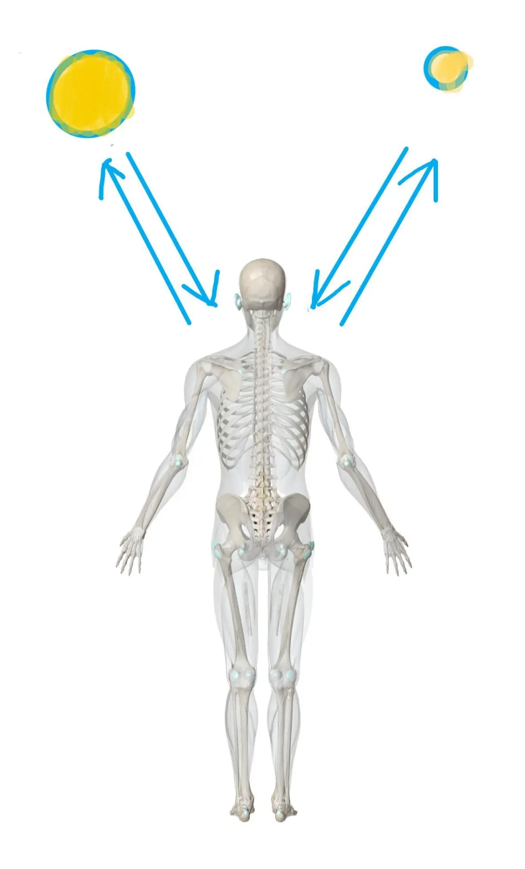我练拳的树林人迹罕至，晚上更是幽僻。角落里有一口古井。月光穿过林窗，刚...