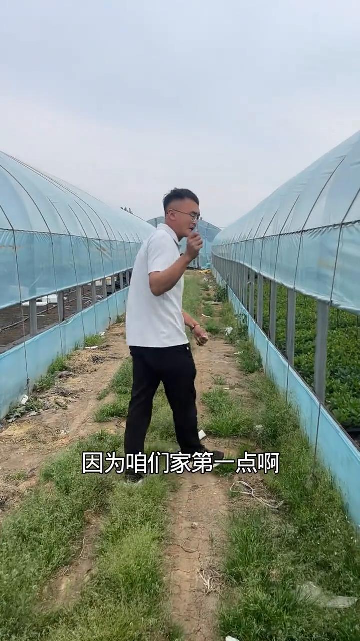 很多朋友为什么一直这么多年选择咱们家的吉他拉枕木？
·第一点，全部是阻水脱毒的。