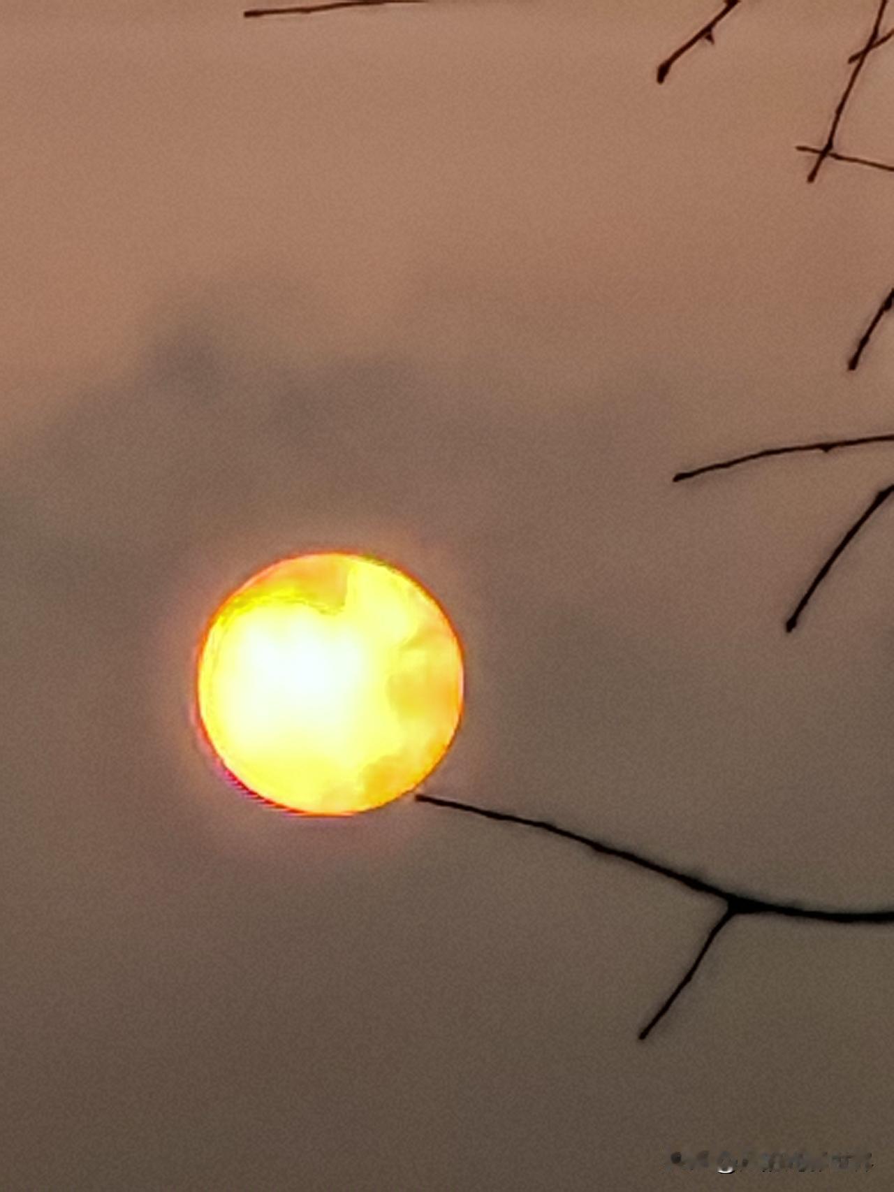 冬天的清晨确实孤寂中透着诗意。就像高翥在《冬日即事》里写的“江上凝冰约水痕，门前