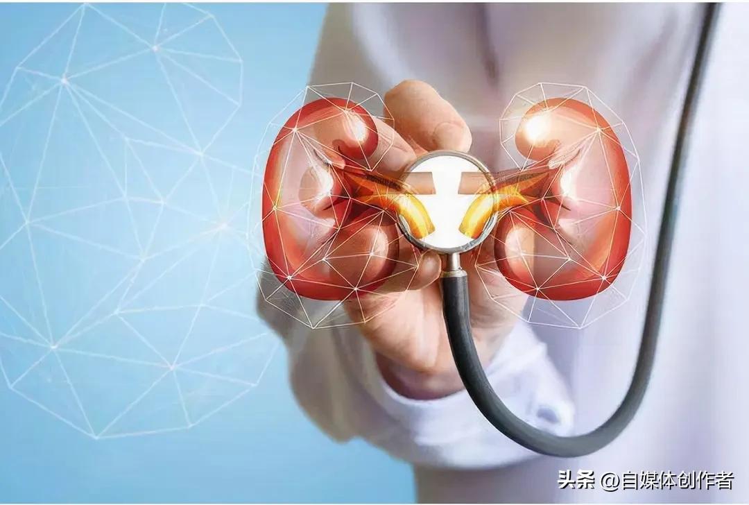 别等肾喊疼才后悔！这5个坏习惯，正在悄悄掏空你的肾
 
我国成人慢性肾脏病患病率