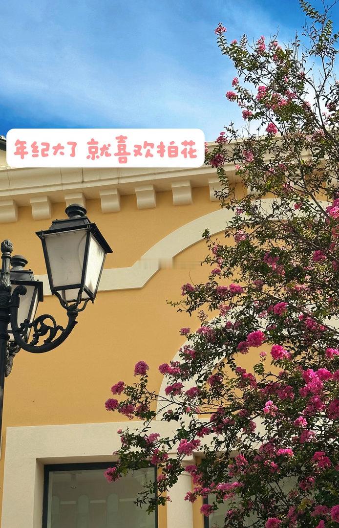 周末愉快～～ ​​​